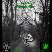 Rebel Revolution