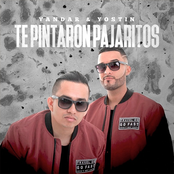 Te Pintaron Pajaritos - Single