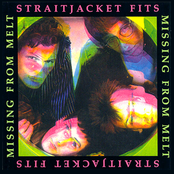 In Spite Of It All by Straitjacket Fits