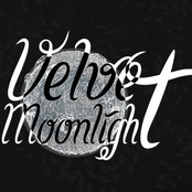 velvet moonlight