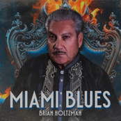 Brian Holtzman: Miami Blues