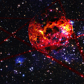 Forty revolutions around the Sun