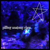 pillbug anatomy class