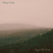 Beyond the Words - Single