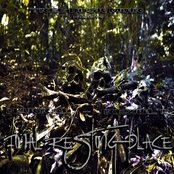 Tree Dusk Muir Presents Nakral & Rezult "Final Resting Place"