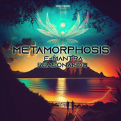 Metamorphosis