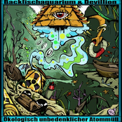 backfischaquarium