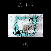 Cape Francis: Olly - Single