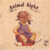 Animal Alpha