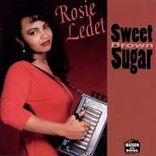 Rosie Ledet: Sweet Brown Sugar