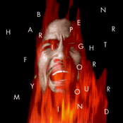 Ben Harper: Fight For Your Mind