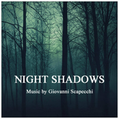 Night Shadows