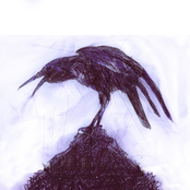 Dissecting The Worm (A Taste)