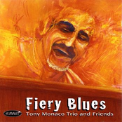 Tony Monaco Trio: Fiery Blues