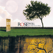 Perfección by Rosewell