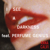 I See a Darkness - Single