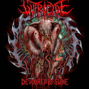 DEVOURED BY SWINE