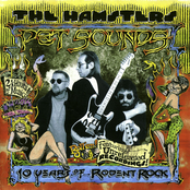 pet sounds: 10 years of rodent rock