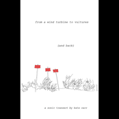 From A Wind Turbine To Vultures (And Back)