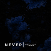 Never (Feat. Anubis-XIII)