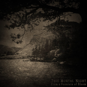 A Dream Of The Past by This Mortal Night