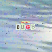How Many Bugs - Single