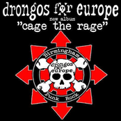 Freedom by Drongos For Europe