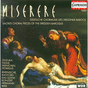 Choral Music (Sacred) - Zelenka, J.D. / Hasse, J.A. / Heinichen, J.D. / Homilius, G.A.