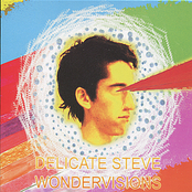 Delicate Steve: Wondervisions