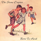 Bound To Burn by The Stone Coyotes
