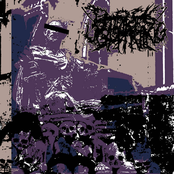 2025 Demo - Single