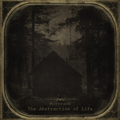 The Abstraction of Life