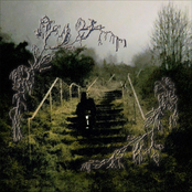 St Magdalene’s Wood