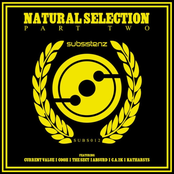 Natural Selection Part 2