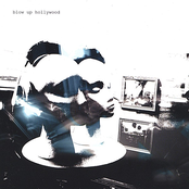 White Walls by Blow Up Hollywood
