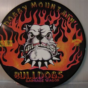 doggy mountain bulldogs