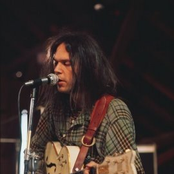 neil young and the stray gators