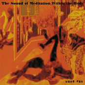 Sound of Meditation Within the Body