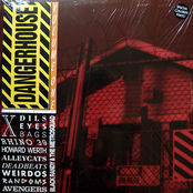 Dangerhouse Volume 1