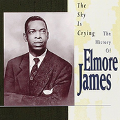 Something Inside Of Me by Elmore James