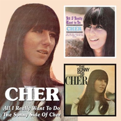 Our Day Will Come by Cher