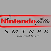 Nintendopella