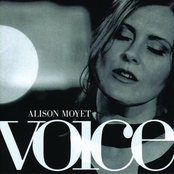 Cry Me A River by Alison Moyet