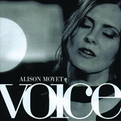 Bye Bye Blackbird by Alison Moyet