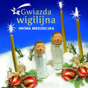 Gwiazda wigilijna