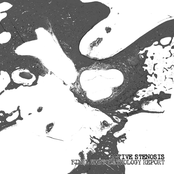 Final Histopathology Report