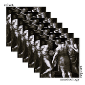 Velvet.: Musicology Report