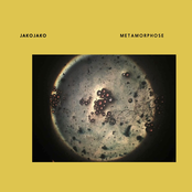 Metamorphose