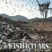 7 wasted years