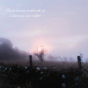 tanto tiempo perdiendo el interés en las nubes